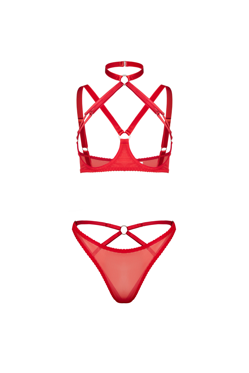 Комплект білизни Rachel червоний 75A, S №33, фото 1